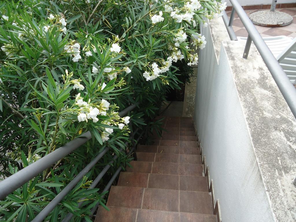 Apartments Ant 布德瓦 客房 照片
