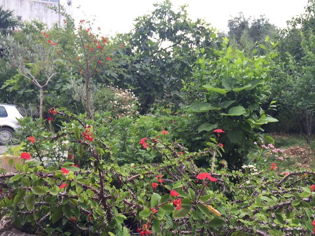 Apartments Ant 布德瓦 外观 照片