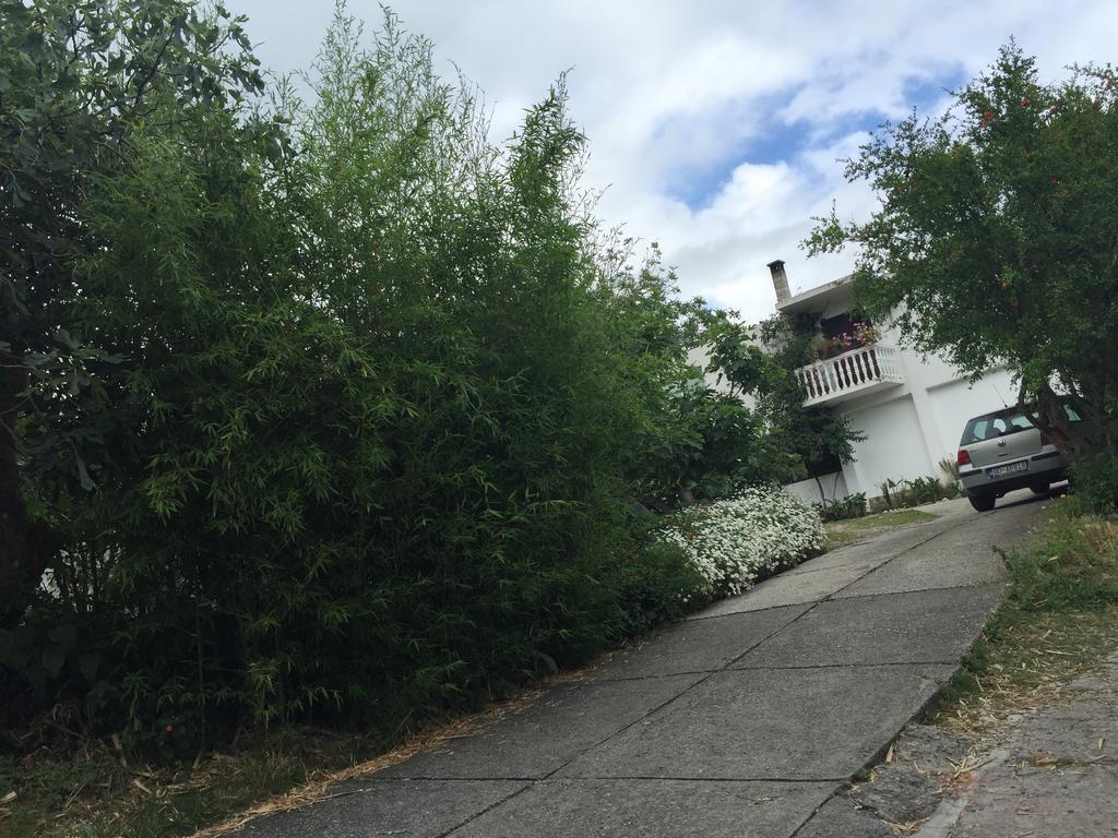 Apartments Ant 布德瓦 外观 照片